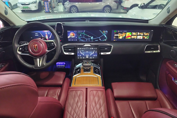 HongQi E-HS9 2021 immagine di auto #10