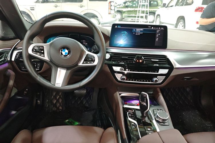 BMW 5 Series New Energy 2021 car image #10