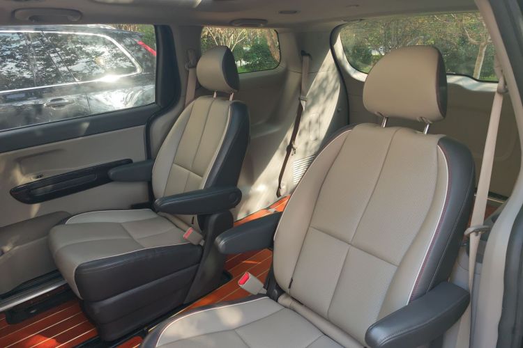 Kia Carnival (Imported) 2016 car image #10