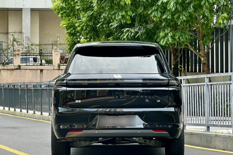 Li L8 2022 изображение автомобиля #10