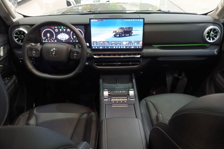 Tank 300 New Energy 2025 car image #10