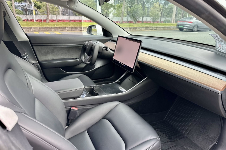 特斯拉 Model 3(进口) 2019 汽车图片 #10