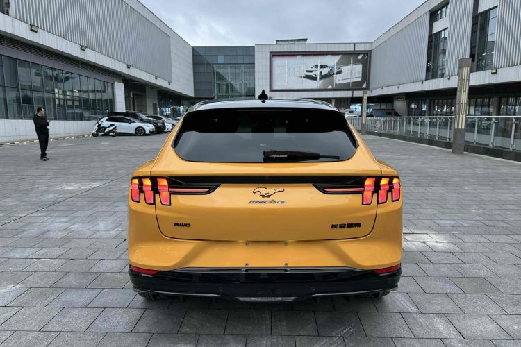 Ford Mustang Mach-E 2023 car image #10