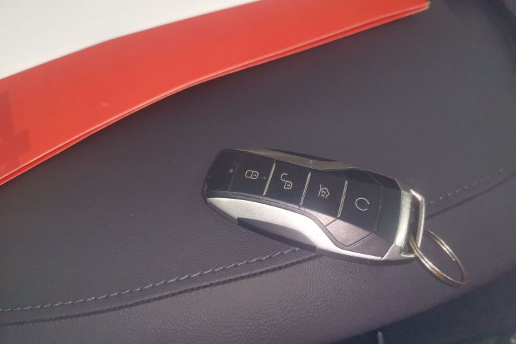 Denza X 2022 image de voiture #10