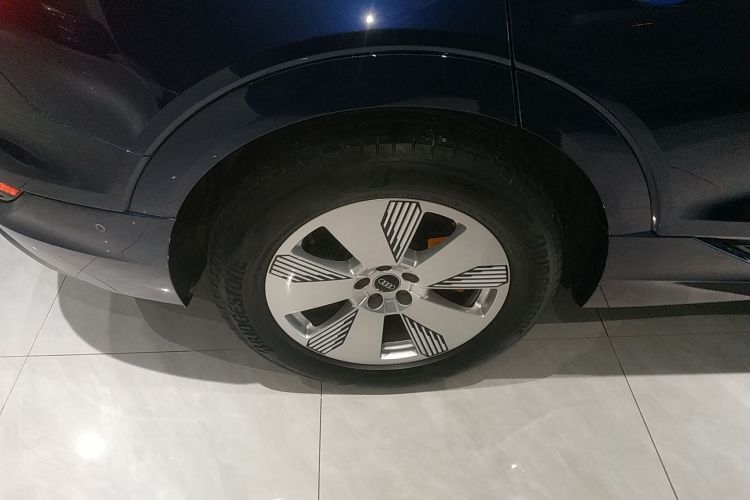 Audi e-tron (Imported) 2022 car image #10