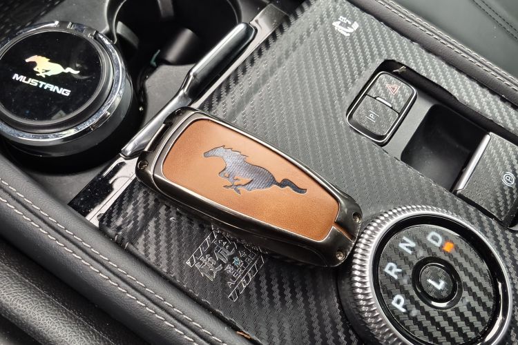 Ford Mustang Mach-E 2024 car image #10