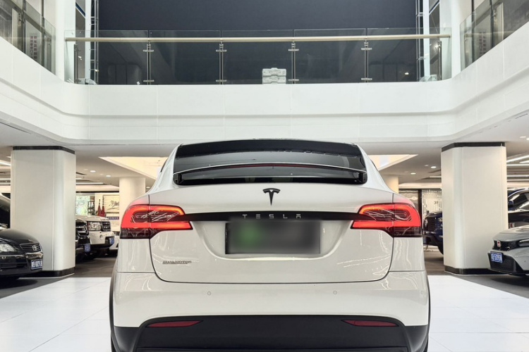 Tesla Model X 2019 car image #10