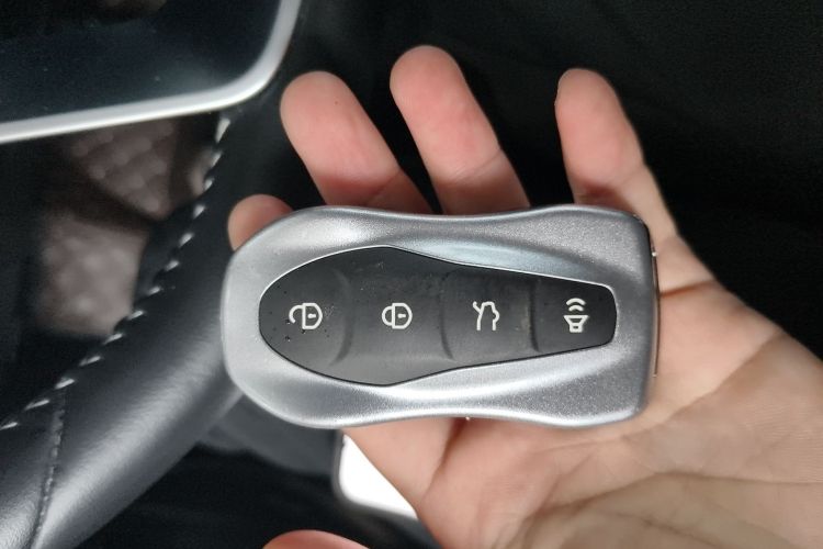 GEELY Tugella New Energy 2019 car image #10