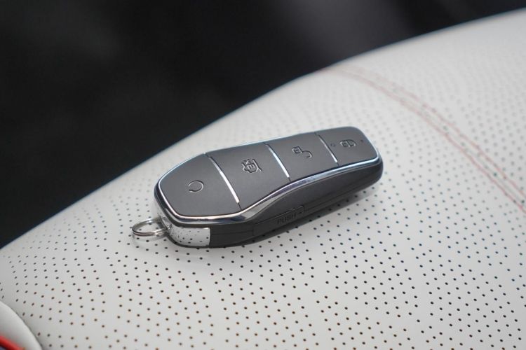 BYD Qin Pro New Energy 2019 car image #10