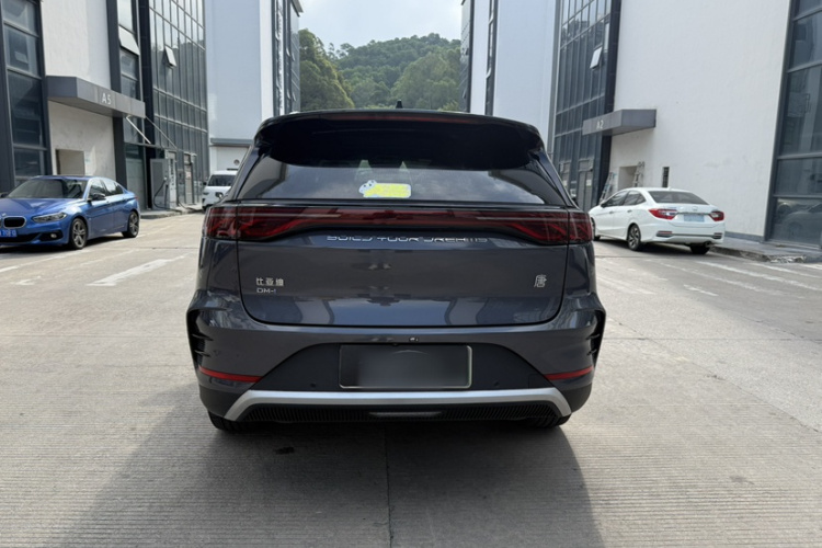 BYD Tang New Energy 2024 car image #10