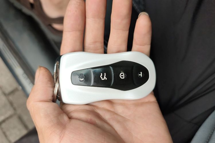 GEELY Tugella New Energy 2019 car image #10