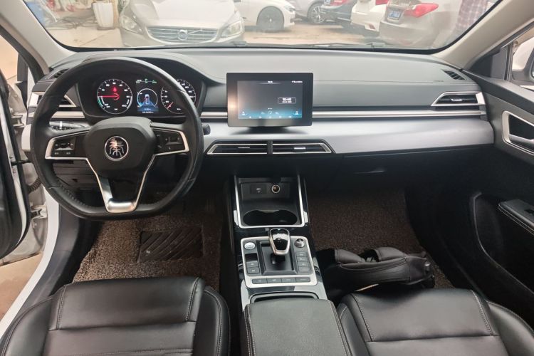 BYD Qin New Energy 2020 car image #10