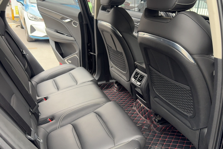 GEELY Tugella 2020 car image #10