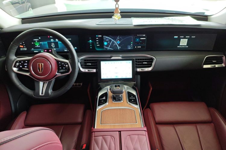 HongQi E-HS9 2021 immagine di auto #10