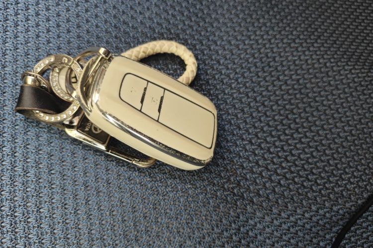 Toyota Wildlander 2021 imagem de carro #10