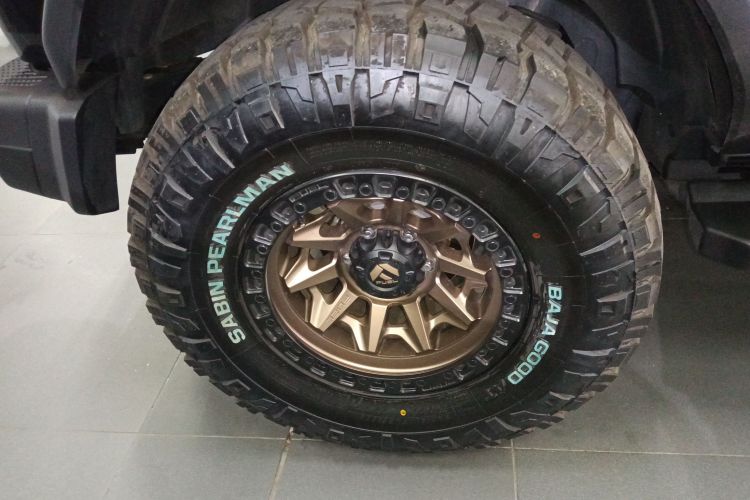 福特 福特烈马 2025 #10 福特 福特烈马 2025 汽车图片 #10