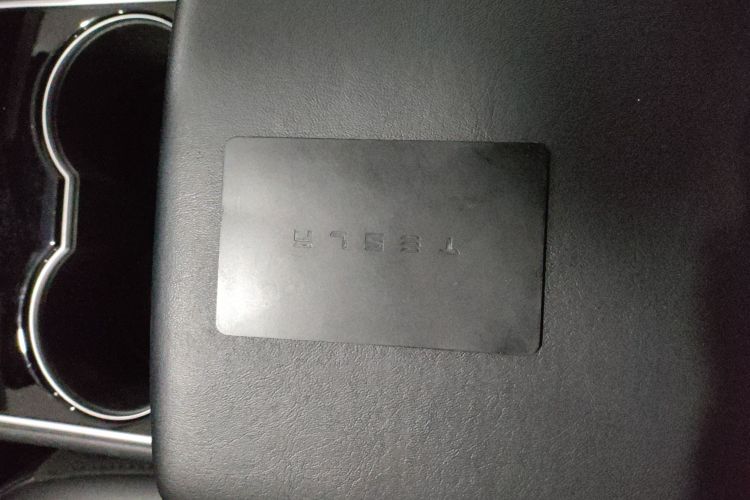 特斯拉 Model 3(进口) 2019 汽车图片 #10