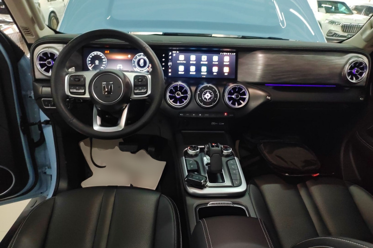 Tank 300 New Energy 2024 imagem de carro #10