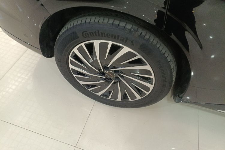 Exceed Stellar Era ET 2024 car image #10