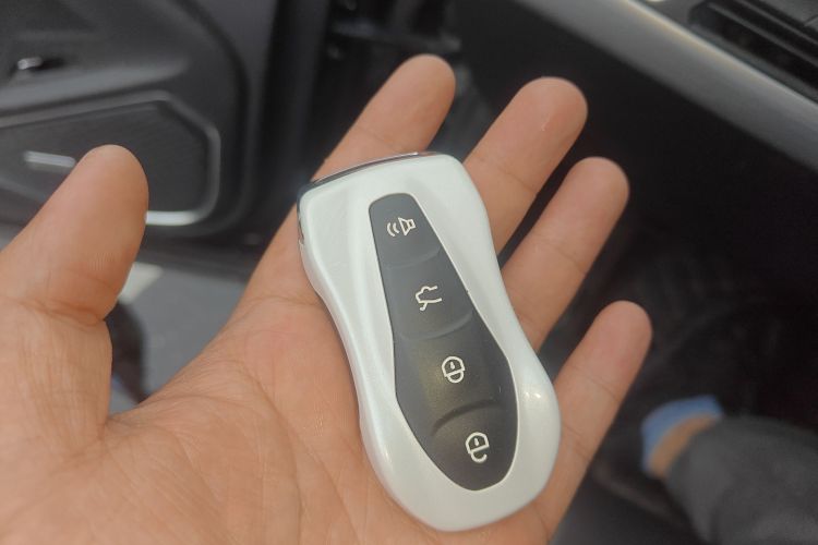 GEELY Tugella New Energy 2021 car image #10