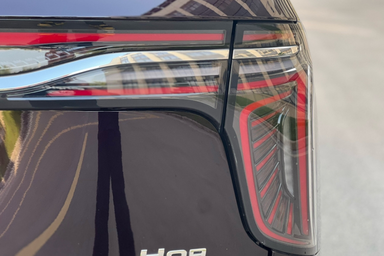 HongQi HQ9 PHEV 2024 car image #10