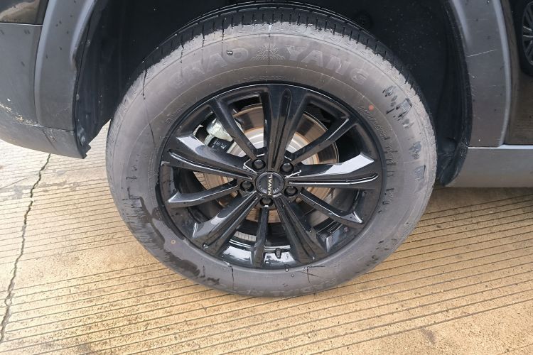 Haval Raptor New Energy 2024 #10 Haval Raptor New Energy 2024 car image #10