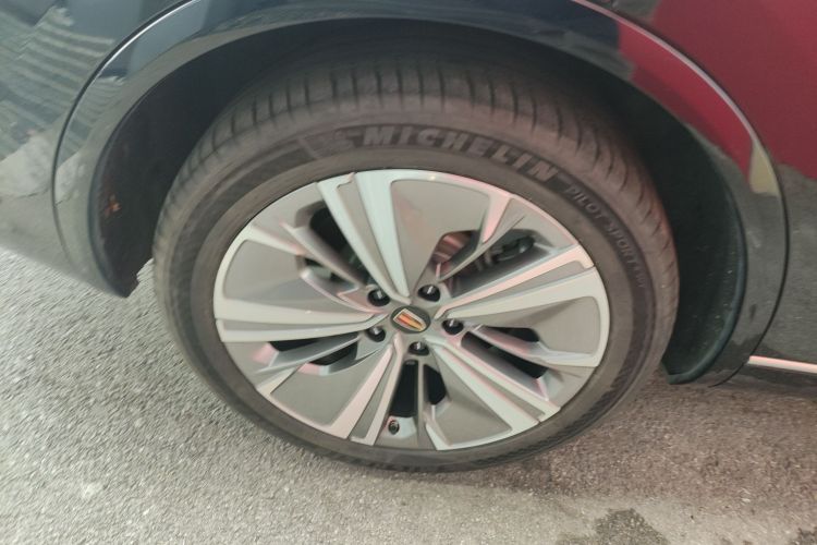 HongQi E-HS9 2022 #10 HongQi E-HS9 2022 car image #10