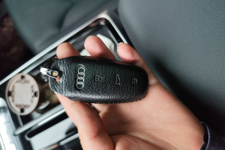 Audi Q8 2024 car image #10