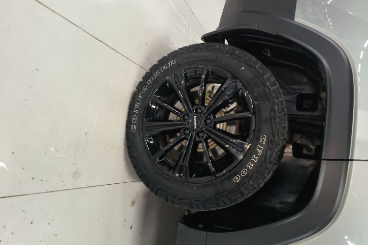 Haval Raptor 2024 immagine di auto #10