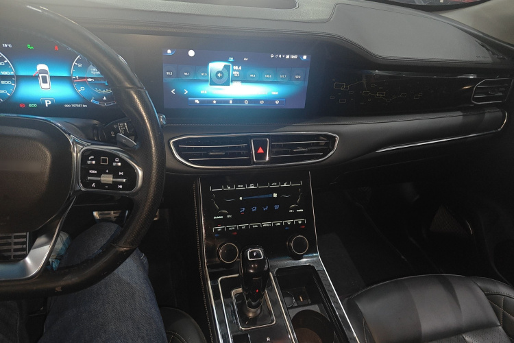 Jetour X95 2020 car image #10