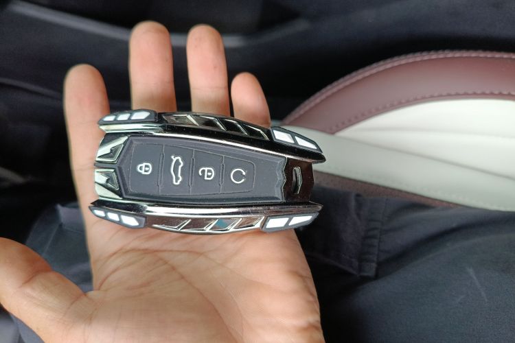 GEELY Tugella 2022 car image #10