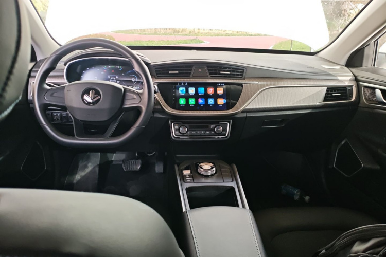 Livan Maple 60S 2023 imagen de coche #10