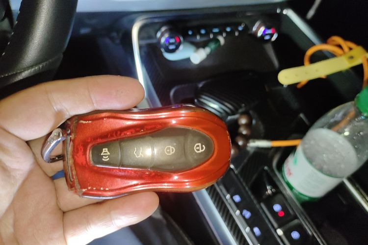 GEELY Tugella New Energy 2020 car image #10