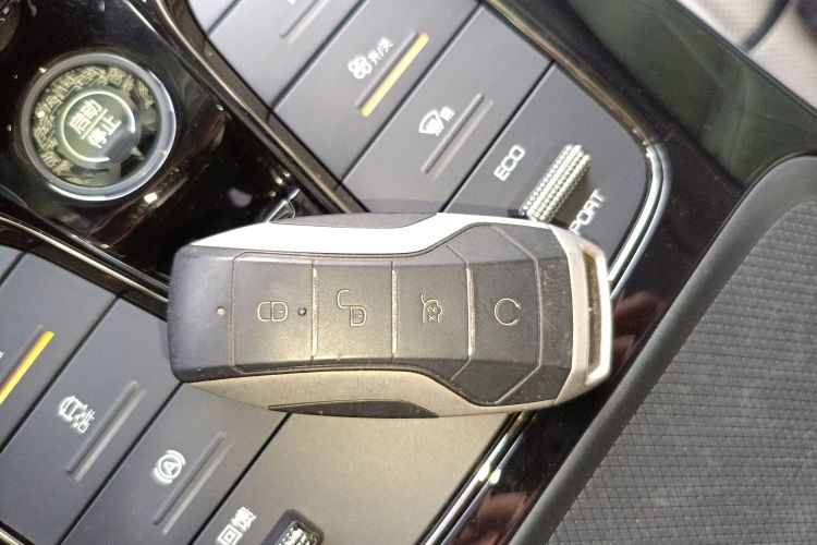 BYD e9 2021 #10 BYD e9 2021 immagine di auto #10