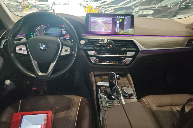 BMW 5 Series 2020 car image #10