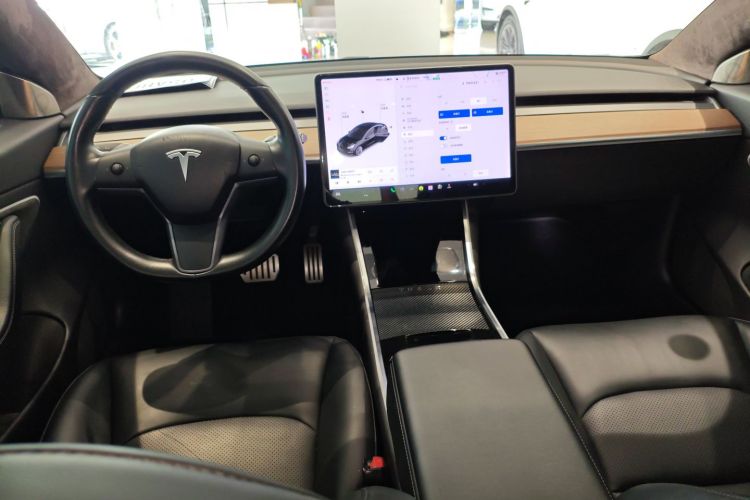 特斯拉 Model 3(进口) 2019 汽车图片 #10