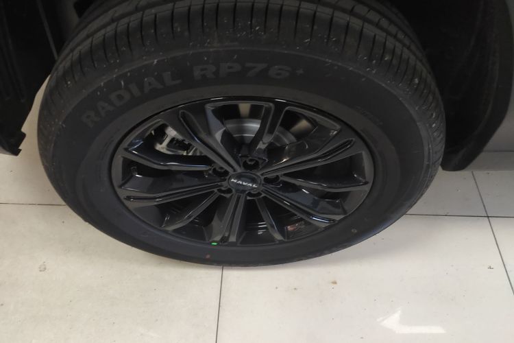 Haval Raptor New Energy 2025 #10 Haval Raptor New Energy 2025 car image #10