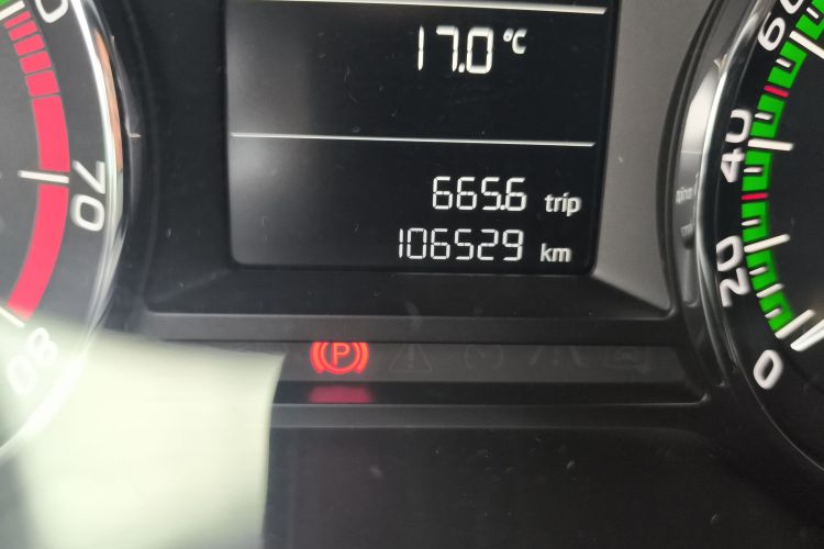 Skoda Octavia 2019 car image #10