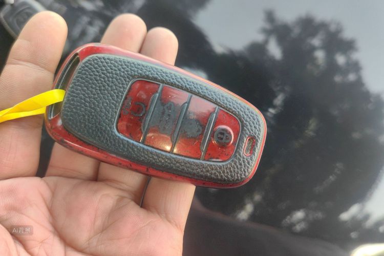 HongQi H5 2019 car image #10