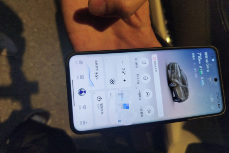 Denza N8 2023 #10 Denza N8 2023 car image #10