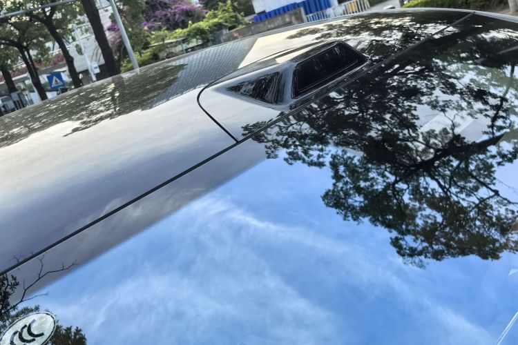 Denza N9 car image #10