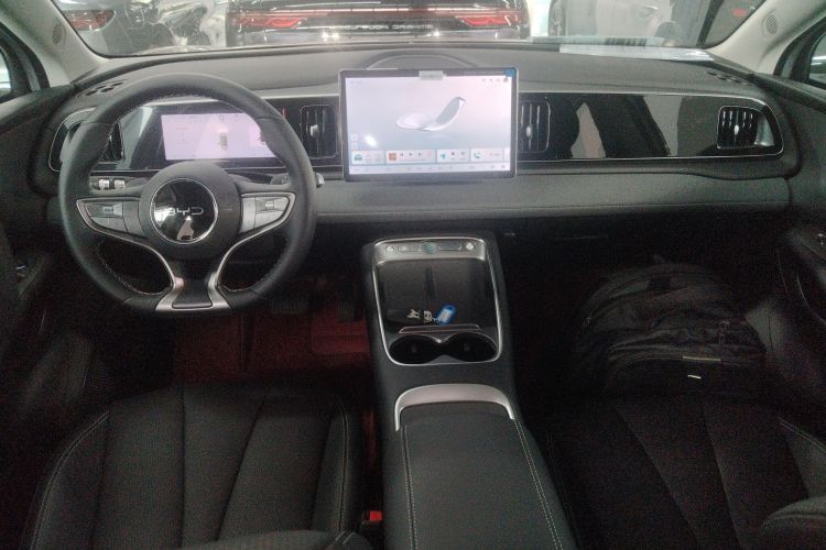 BYD Sea Lion 05 EV 2025 car image #10