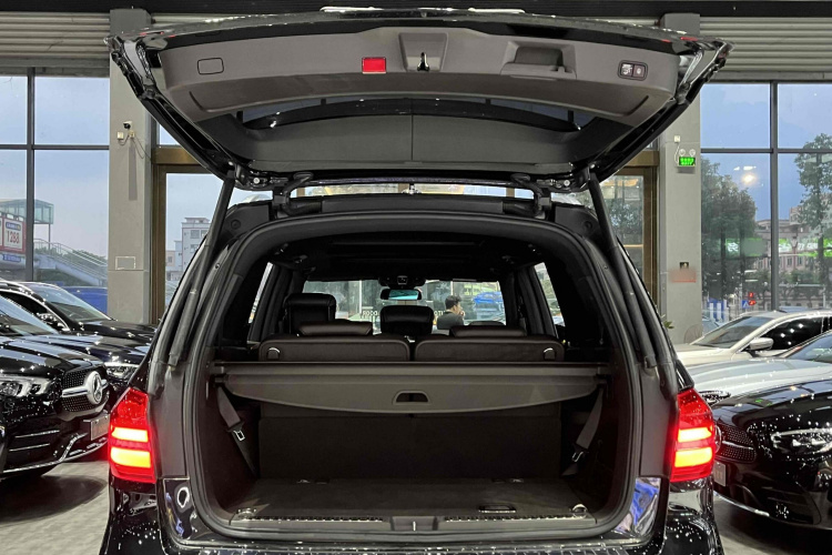 Mercedes-Benz GLS Class 2017 imagen de coche #10