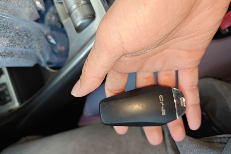 BYD Dolphin 2022 صورة سيارة #10