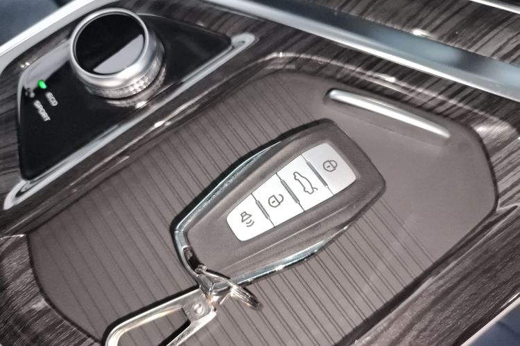 睿蓝汽车 枫叶80v PRO 2023 汽车图片 #10