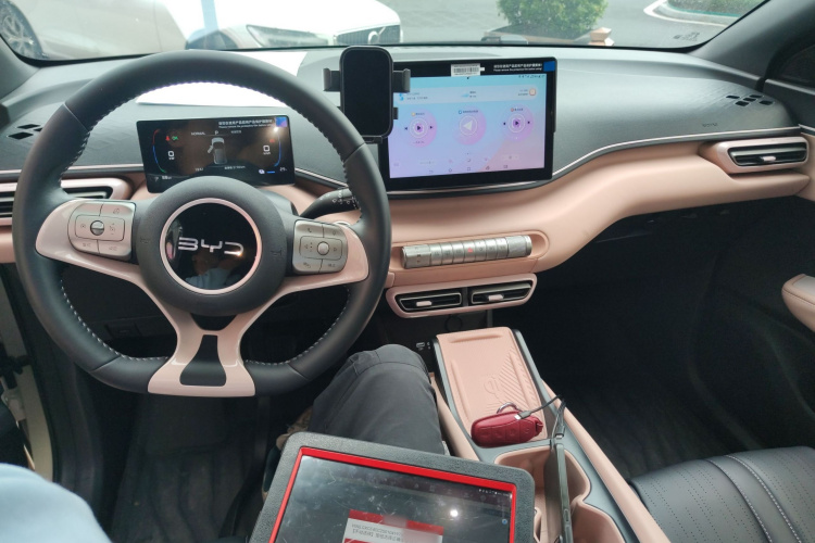 BYD Seagull 2025 car image #10