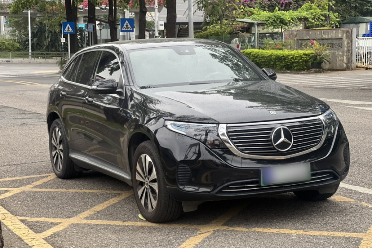Mercedes-Benz EQC Class 2022 car image #10