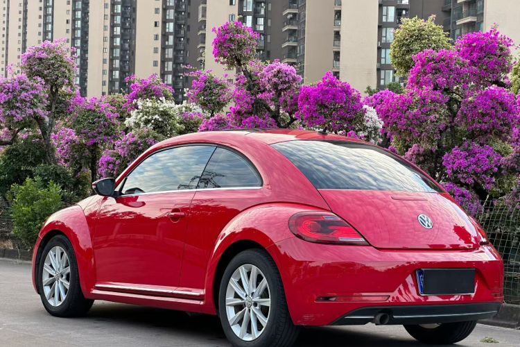 Volkswagen Beetle 2018 car image #10