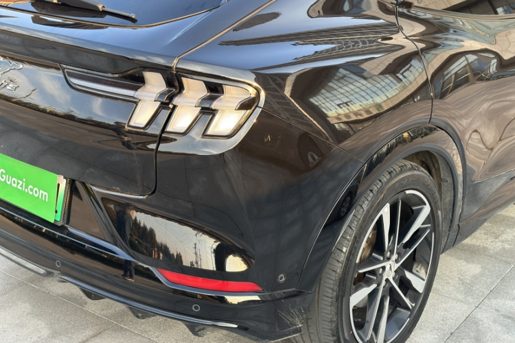 Ford Mustang Mach-E 2023 #10 Ford Mustang Mach-E 2023 car image #10