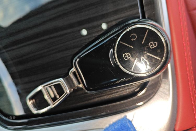 Exceed Yaoguang C-DM 2025 car image #10